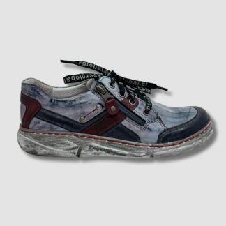 2 6497 678+251+997.1 Lico